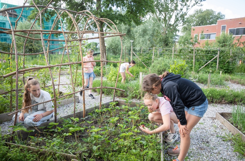 Steeds vaker beginnen jonge kinderen hun schooltijd direct in het speciaal (basis)onderwijs, zonder eerst ervaring op te doen in het regulier onderwijs. Ze komen bijvoorbeeld uit de kinderopvang of een medisch kinderdagverblijf en maken meteen de overstap naar een speciale school. Maar hoe verhoudt dit zich tot de ambitie voor inclusiever onderwijs?